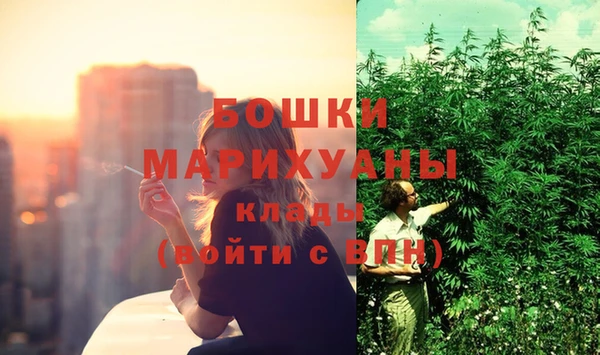 твердый Бронницы
