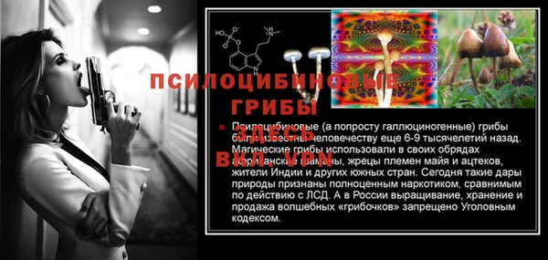 гидропоника Верхнеуральск